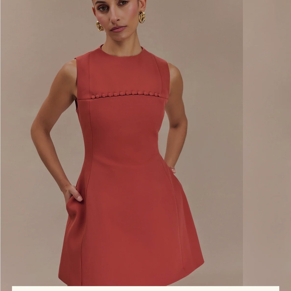 Meshki Rust Mini Dress - Picture 4 of 6